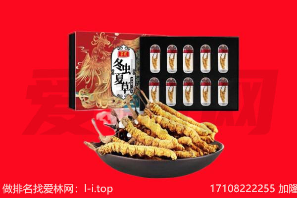 常州金坛区回收虫草.jpg